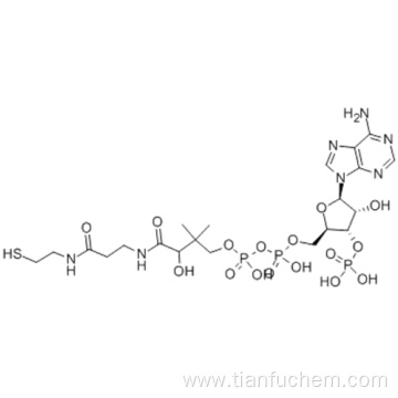 Coenzyme A CAS 85-61-0